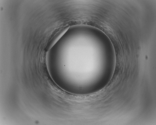 X0000088590037200705251200