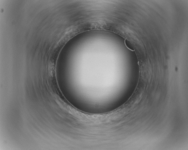 X0000088590038200705251200