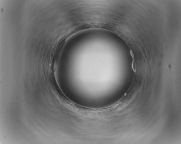 X0000088590040200705251200