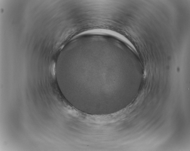 X0000088590041200705251200