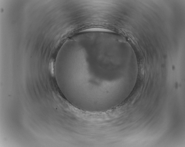 X0000088590042200705251200