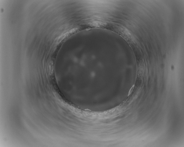 X0000088590043200705251200