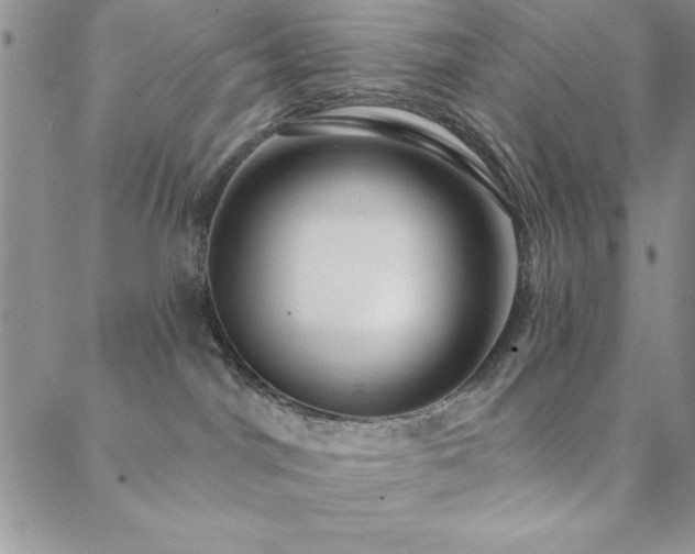 X0000088590044200705251200