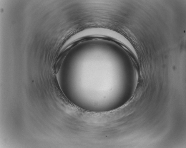 X0000088590045200705251200