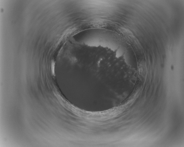 X0000088590046200705251200