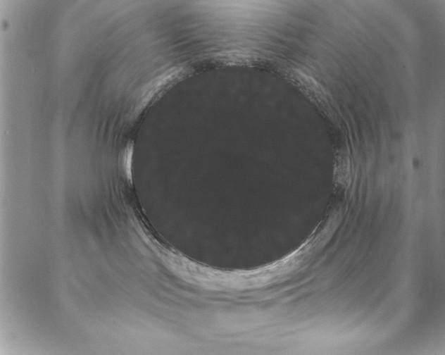 X0000088590047200705251200