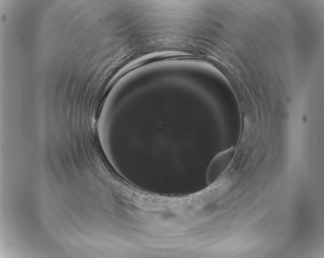 X0000088590048200705251200