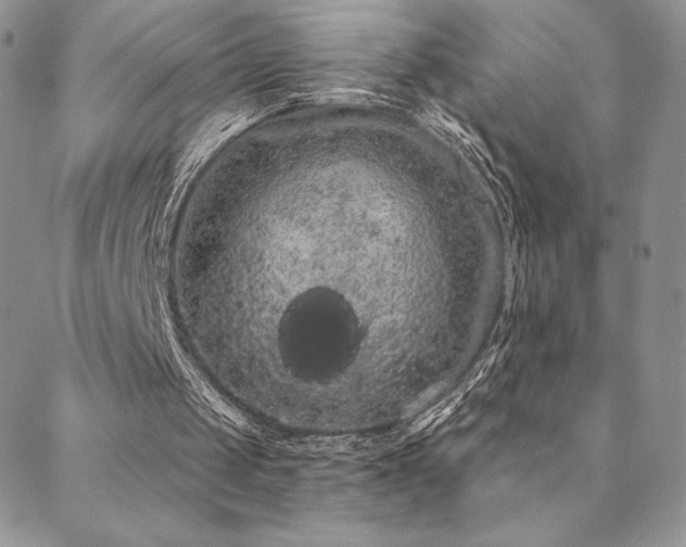 X0000088590049200705251159