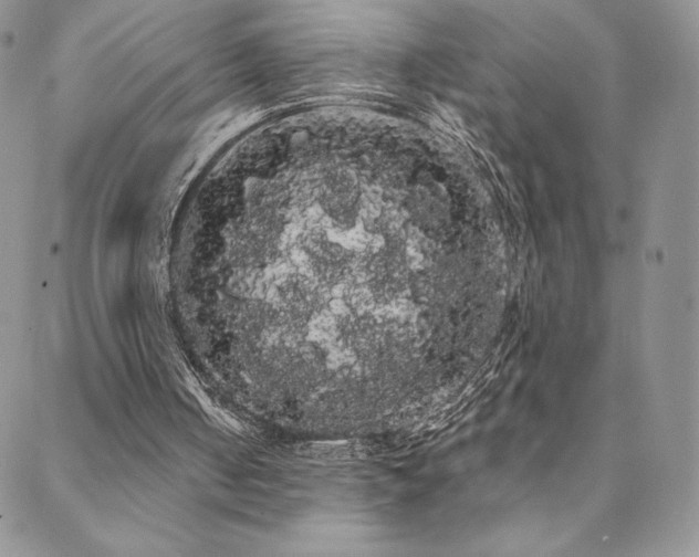 X0000088590050200705251159