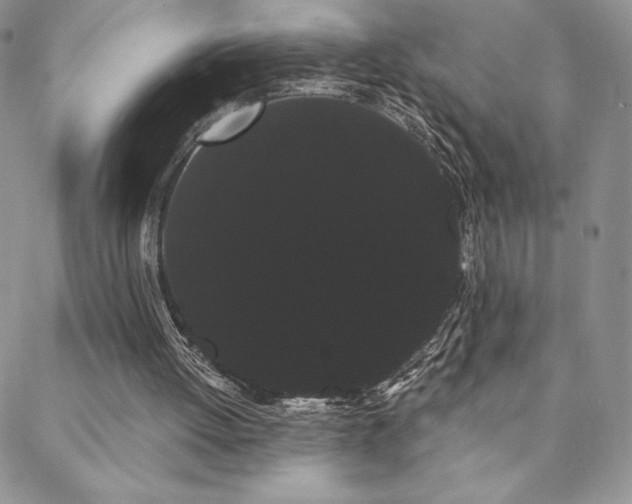 X0000088590052200705251159