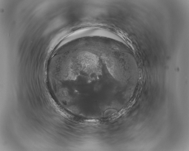 X0000088590053200705251159