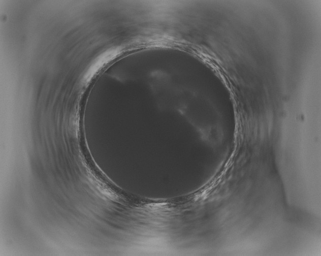 X0000088590054200705251159