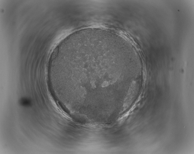 X0000088590055200705251159