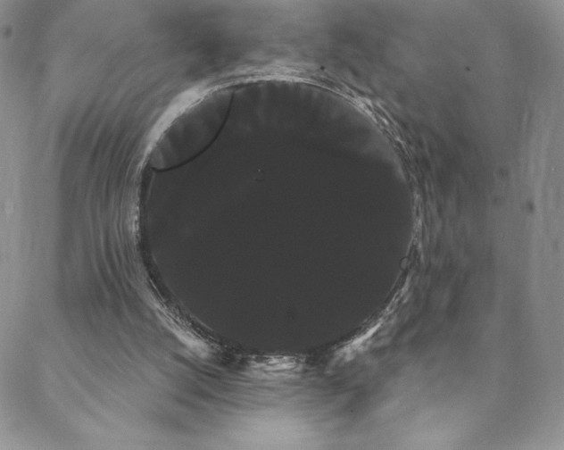 X0000088590056200705251159