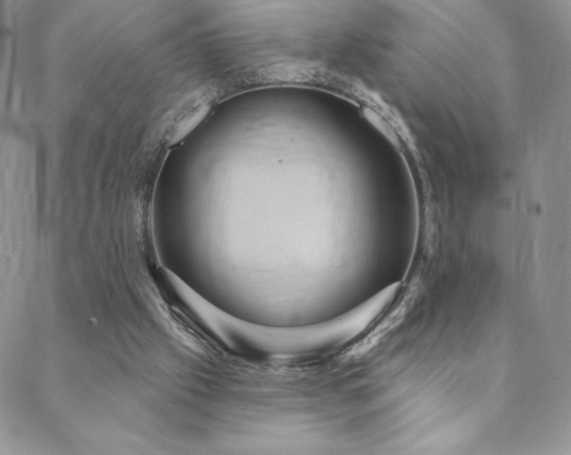 X0000088590057200705251159