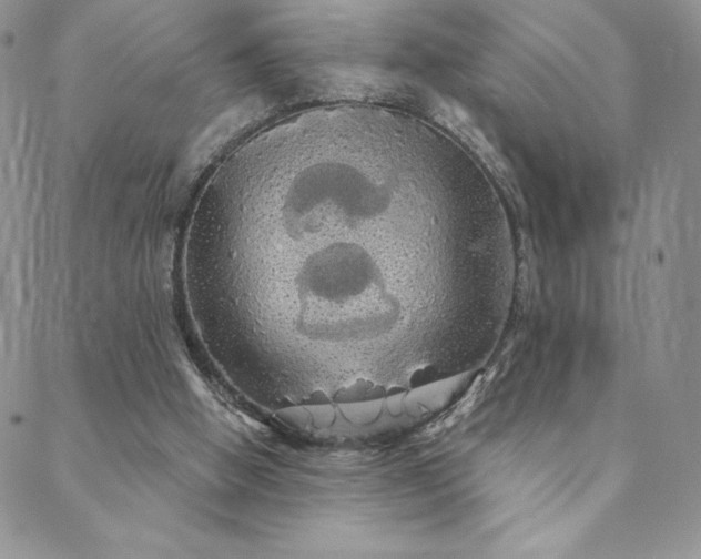 X0000088590058200705251159