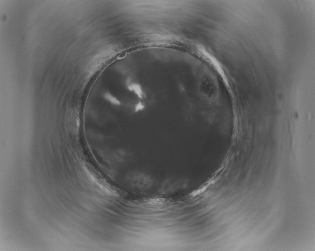 X0000088590059200705251159