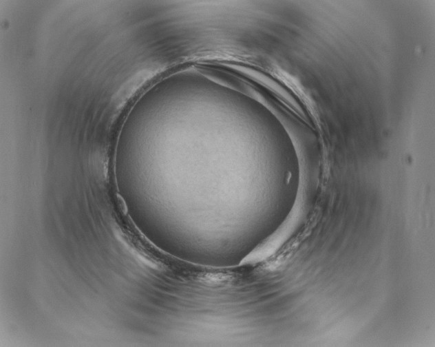 X0000088590060200705251159