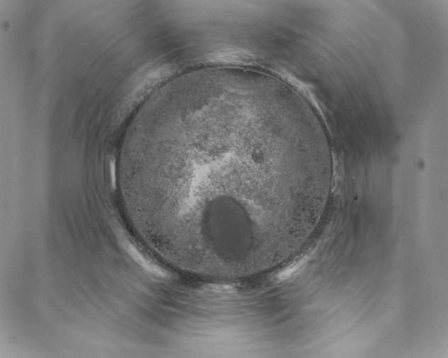 X0000088590061200705251159