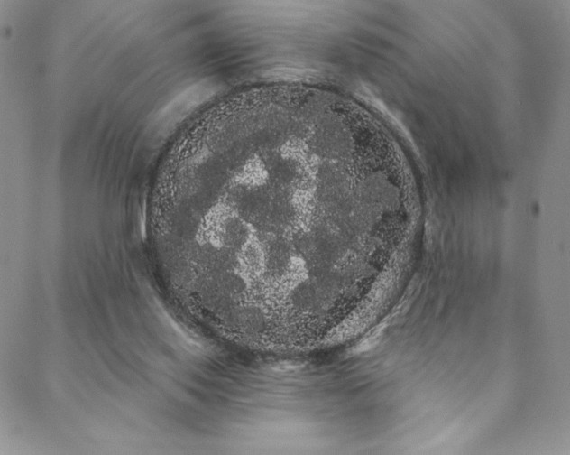 X0000088590062200705251159