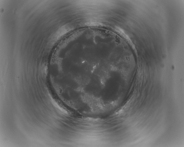 X0000088590063200705251159