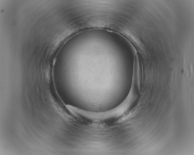 X0000088590064200705251159