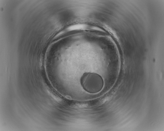 X0000088590065200705251159