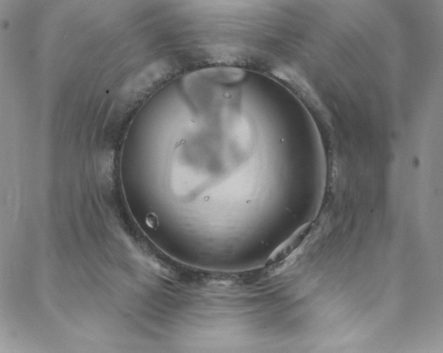 X0000088590066200705251159