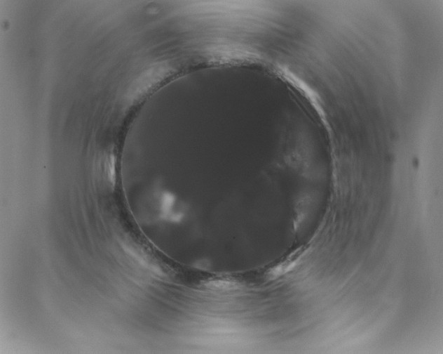 X0000088590067200705251159