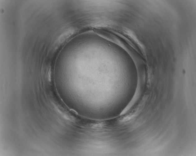 X0000088590068200705251159