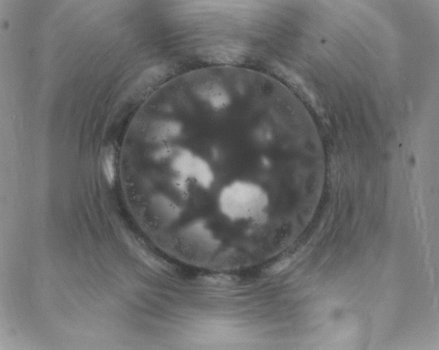 X0000088590069200705251159