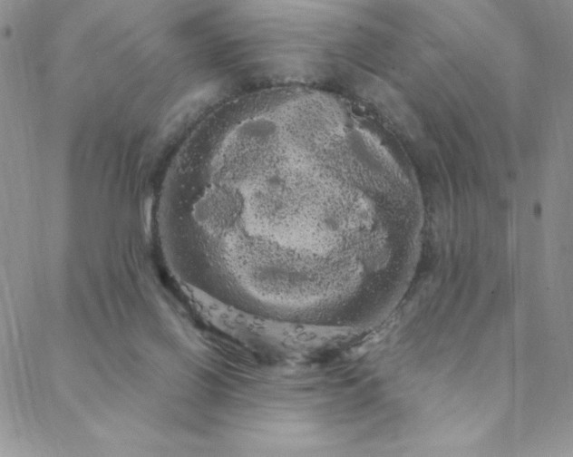 X0000088590070200705251159