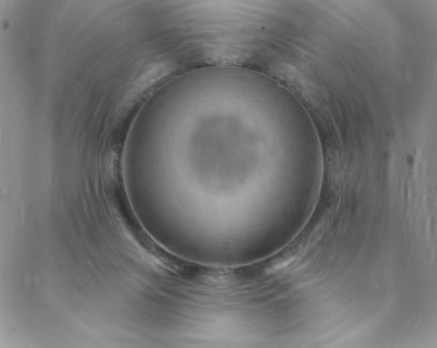 X0000088590071200705251159