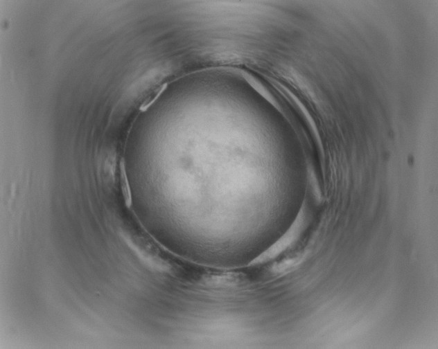 X0000088590072200705251159