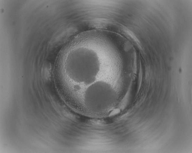 X0000088590073200705251200