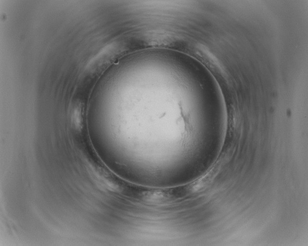 X0000088590074200705251200