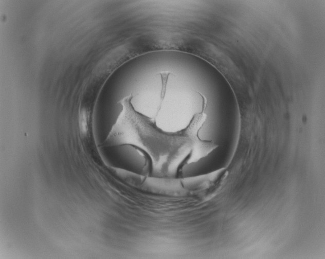 X0000088590075200705251200