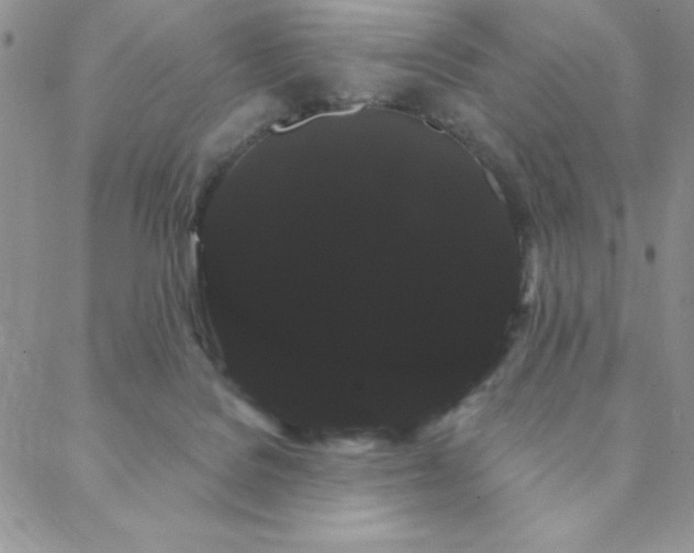 X0000088590076200705251200