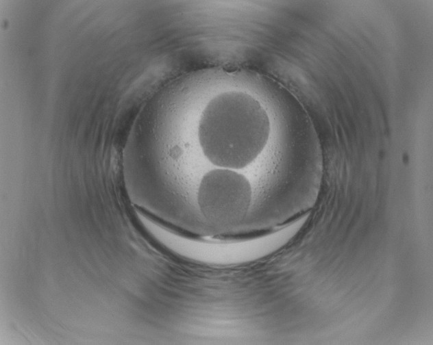 X0000088590077200705251200