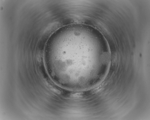 X0000088590078200705251200