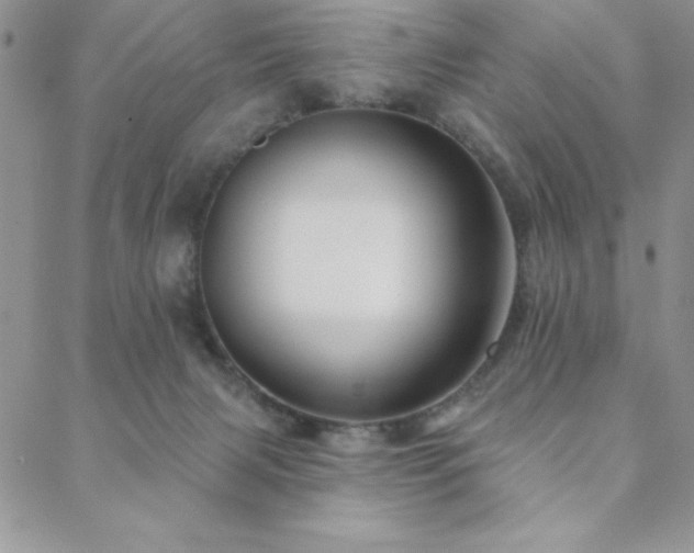 X0000088590079200705251200