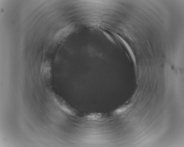 X0000088590080200705251200