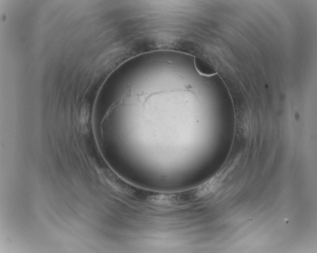 X0000088590082200705251200