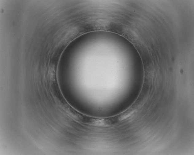 X0000088590083200705251200