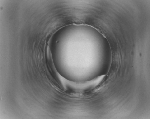 X0000088590084200705251200