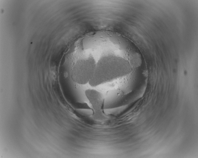 X0000088590085200705251200