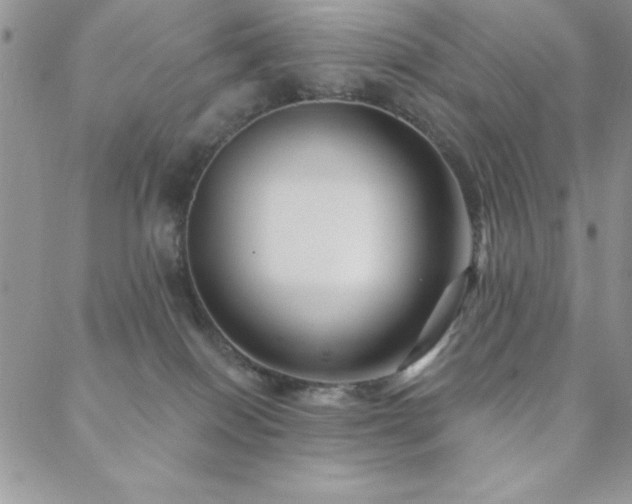 X0000088590086200705251200