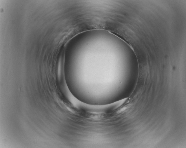 X0000088590088200705251200