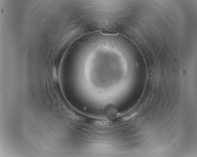 X0000088590089200705251200