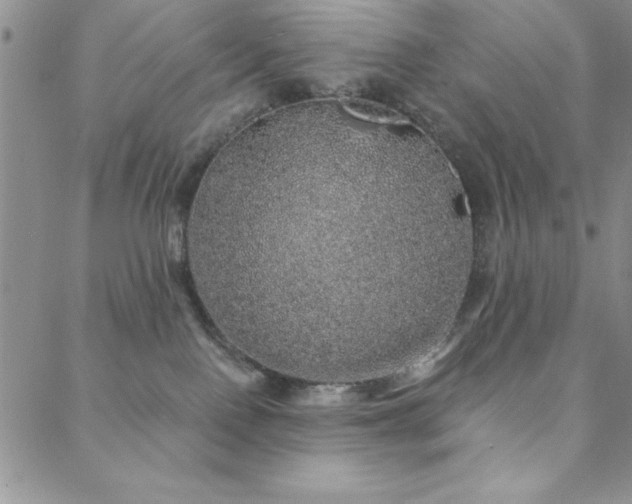 X0000088590090200705251200